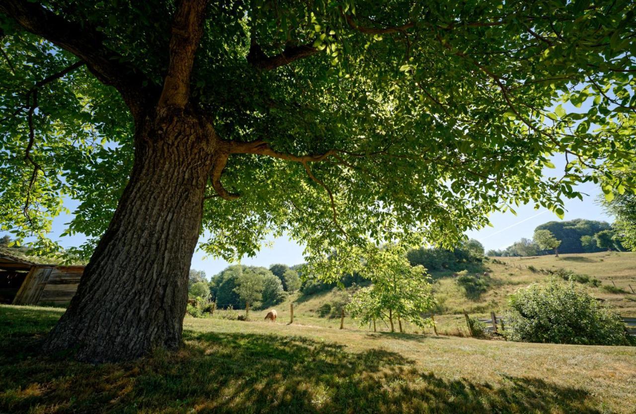 Le Petit Chateau Du Villard Le Malzieu-Forain Εξωτερικό φωτογραφία